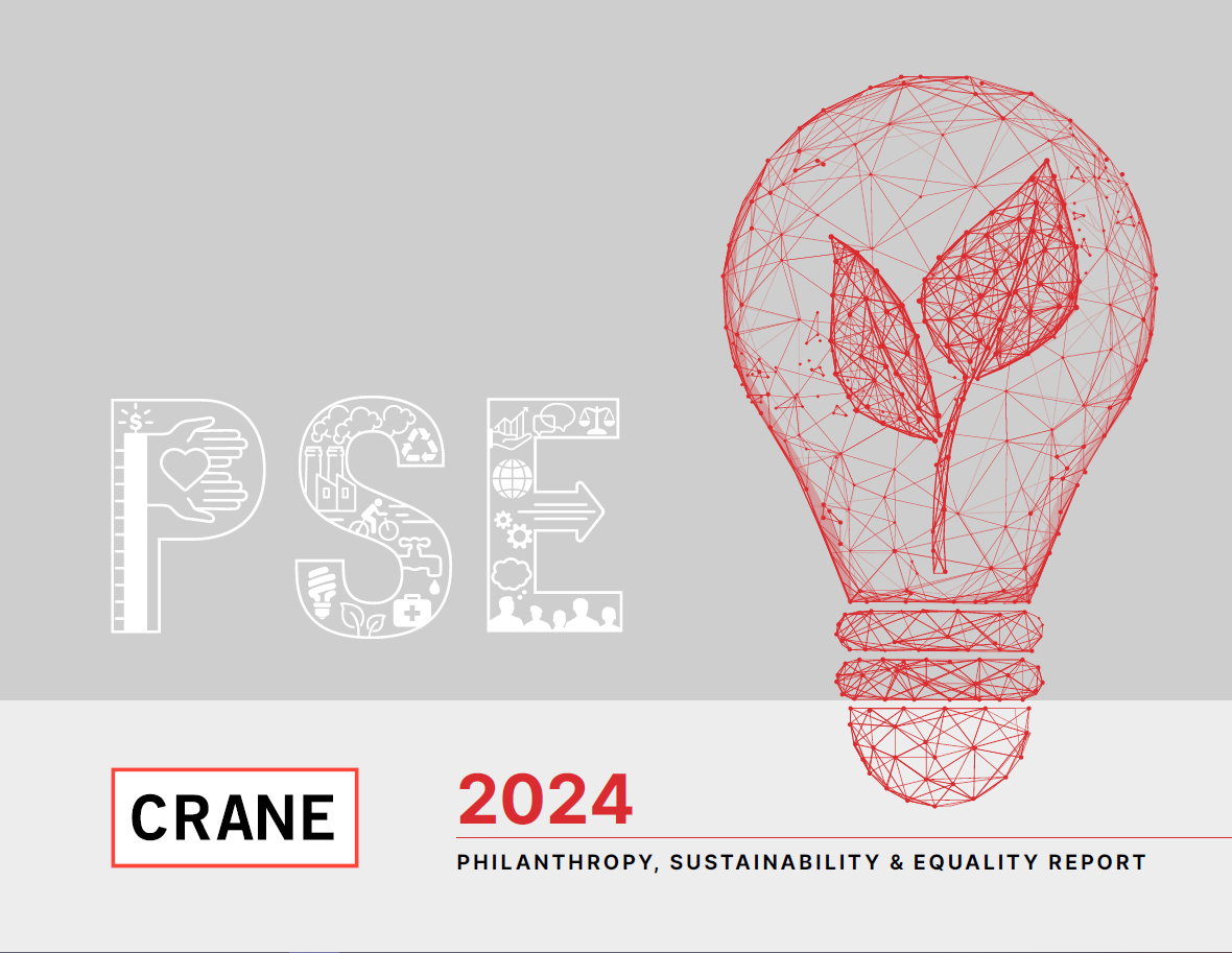 2024 PSE REPORT